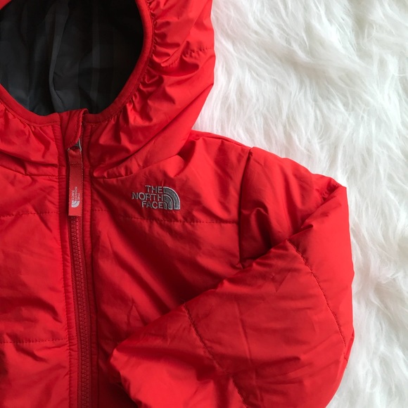 north face perrito 3t